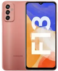 Samsung F13 1 1