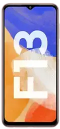 A picture of Samsung F13
