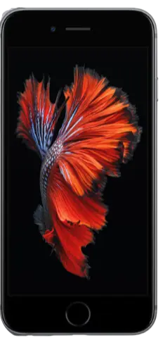 A Picture of iPhone 6s