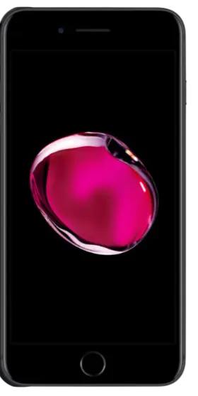 A Picture of iPhone 7 Plus